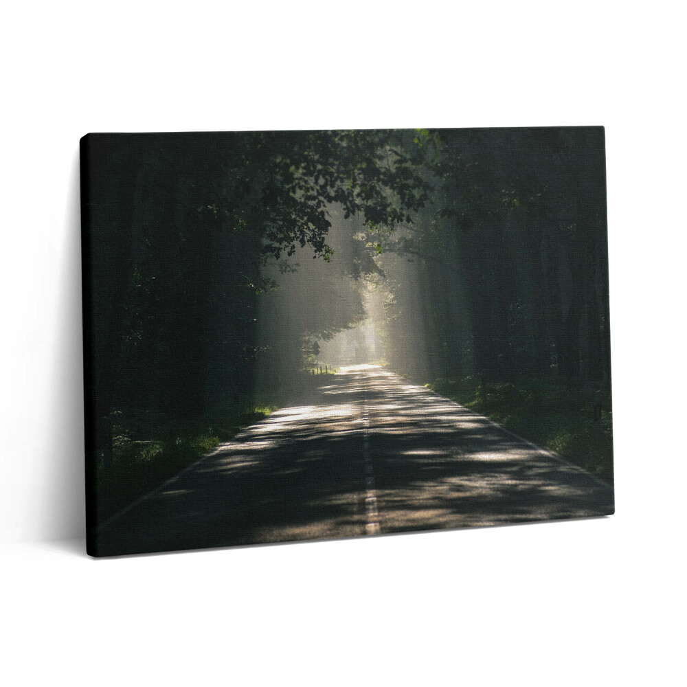 Fotoobraz na plátne 80x60 Lesná cesta a pruhy slnečného svetla