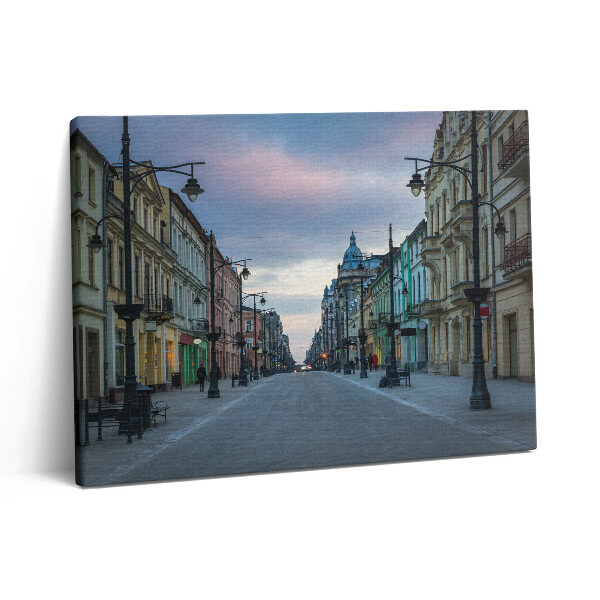 Fotoobraz na plátne 80x60 Piotrkowskej v Lodži
