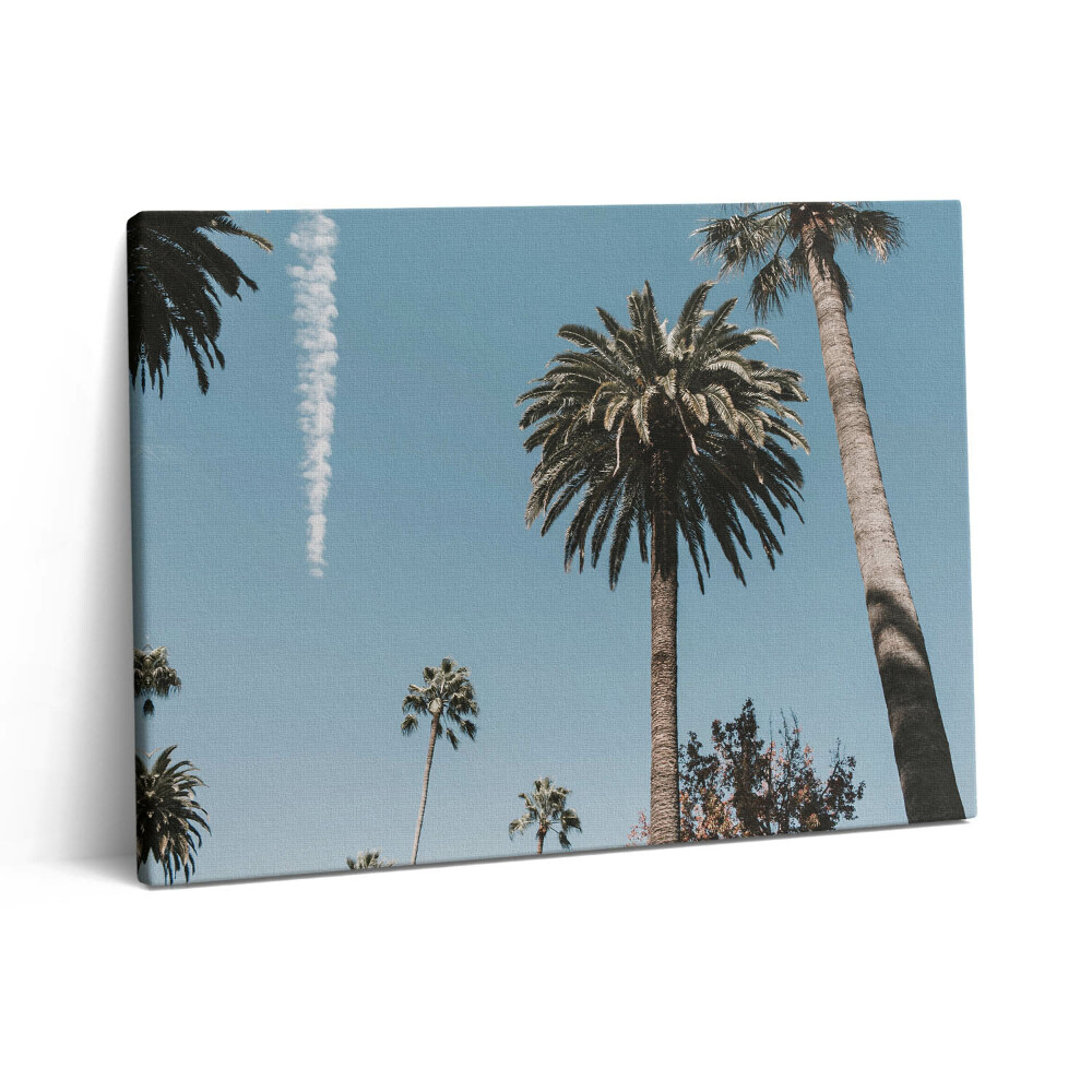 Fotoobraz na plátne 80x60 Palmy v Los Angeles