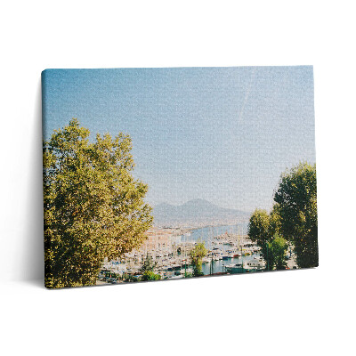 Obraz na plátne 80x60 Zelené stromy v Neapole
