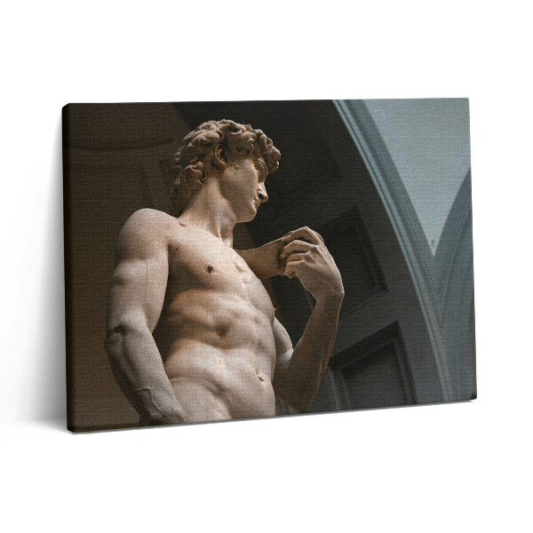 Fotoobraz na plátne 80x60 Socha Dávida - Michelangelo