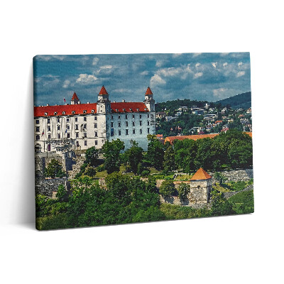 Obraz na plátne 80x60 Hrad v Bratislave