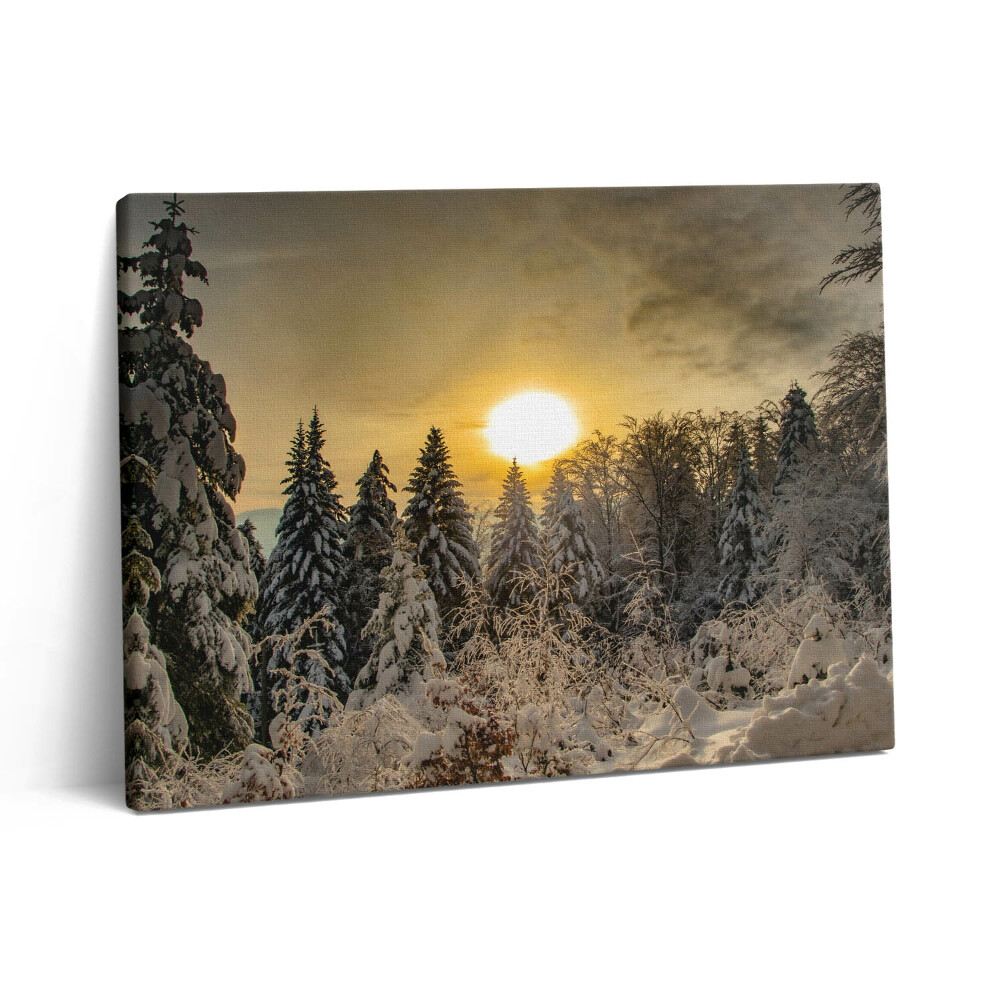 Fotoobraz na plátne 80x60 Zimná krajina Beskýd