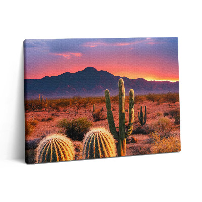 Obraz na plátne 80x60 Západ slnka v púšti