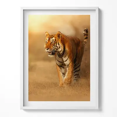 Obraz v ráme Divoký tiger na love