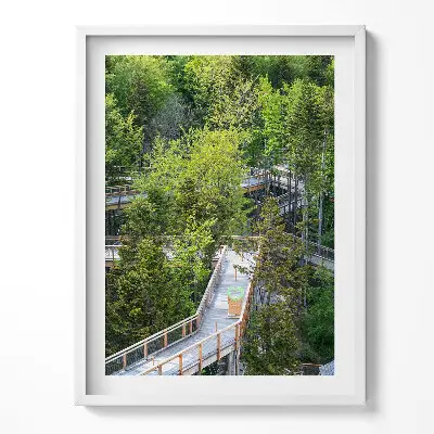 Obraz v ráme Chodník v Krynici-Zdrój