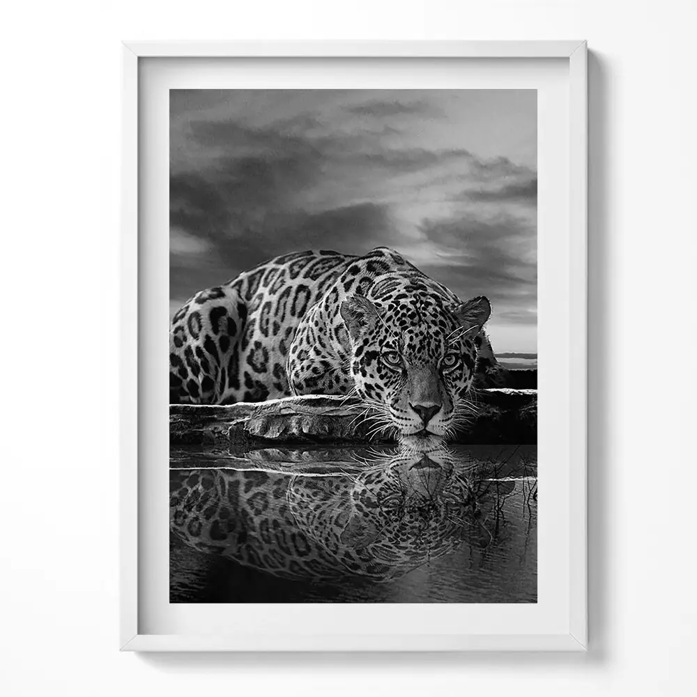 Obraz v ráme s motívom čiernobieleho leoparda
