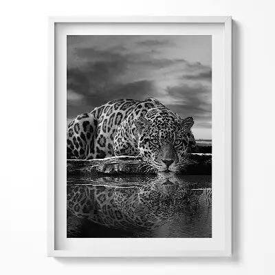 Obraz v ráme s motívom čiernobieleho leoparda