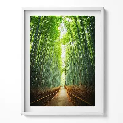 Obraz v ráme Bambusový les Arashiyama v Kjóte
