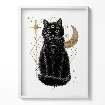 Obraz v ráme Magická čierna mačka a vesmír