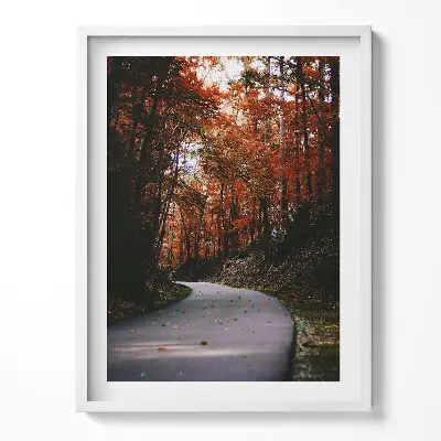 Obraz v ráme Prázdna cesta v jesennom lese