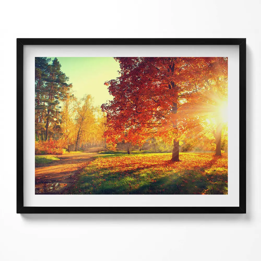 Obraz s rámom Jesenný park