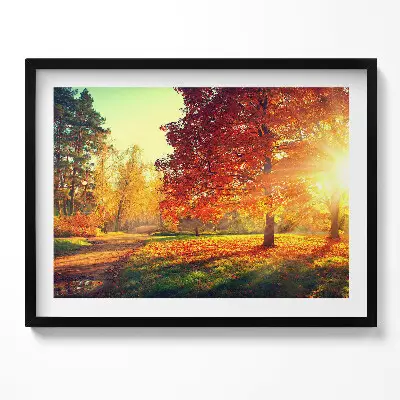 Obraz s rámom Jesenný park