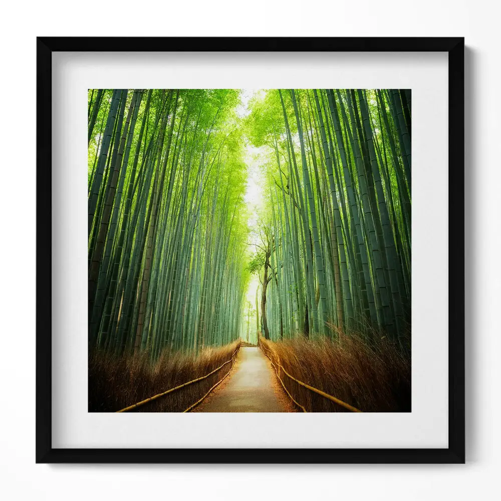 Obraz v ráme Bambusový les Arashiyama Kjóto Japonsko
