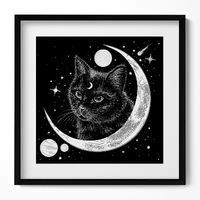 Obraz v ráme Magická čierna mačka a vesmír