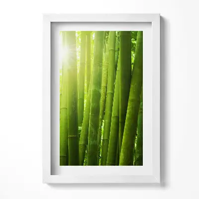 Obraz v ráme Zelené bambusové stonky