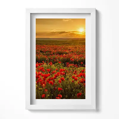 Obraz v ráme Krajina s lúkou a makmi