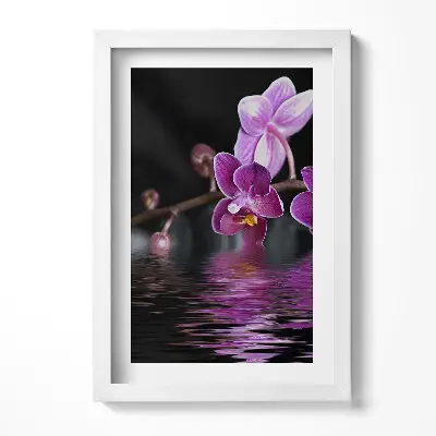 Obraz v ráme Ružový kvet orchidey na vode