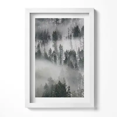 Obraz v ráme Hmlistá lesná krajina