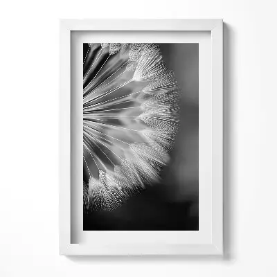 Obraz v ráme Čiernobiela detailná fotografia púpavy