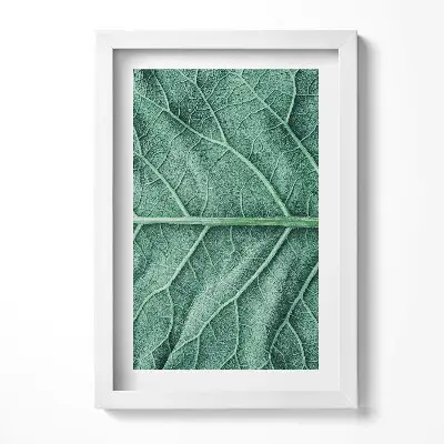 Obraz v ráme Detailný záber na listové žily