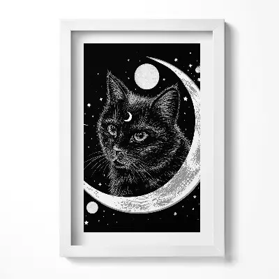 Obraz v ráme Magická čierna mačka a vesmír