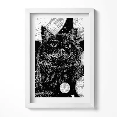 Obraz v ráme Magická čierna mačka a vesmír
