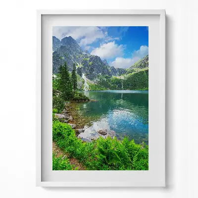 Obraz v ráme Lesná horská krajina