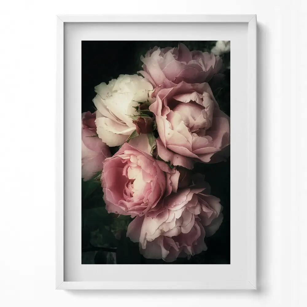 Obraz v ráme Kytica ružových vintage ruží