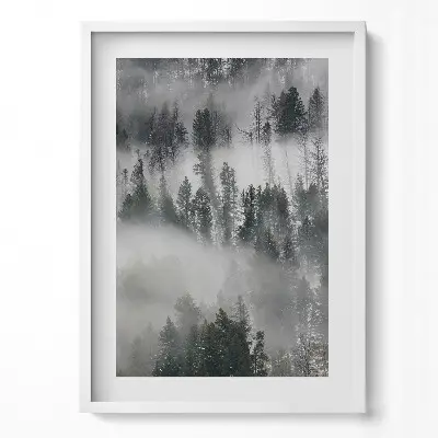 Obraz v ráme Hmlistá lesná krajina