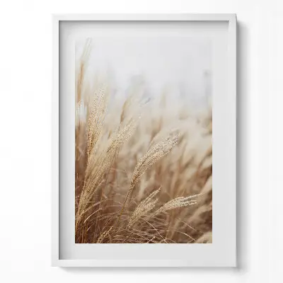 Obraz v ráme Prírodné boho trávy a obilie