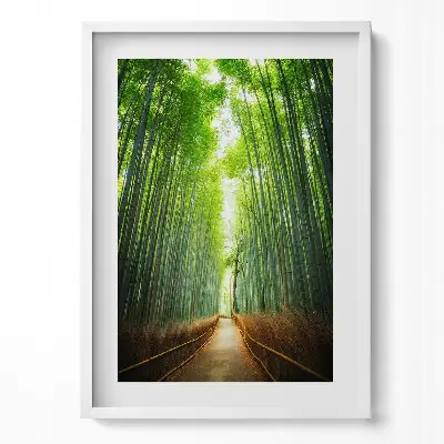 Obraz v ráme Bambusový les Arashiyama Kjóto Japonsko