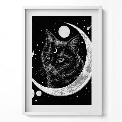 Obraz v ráme Magická čierna mačka a vesmír