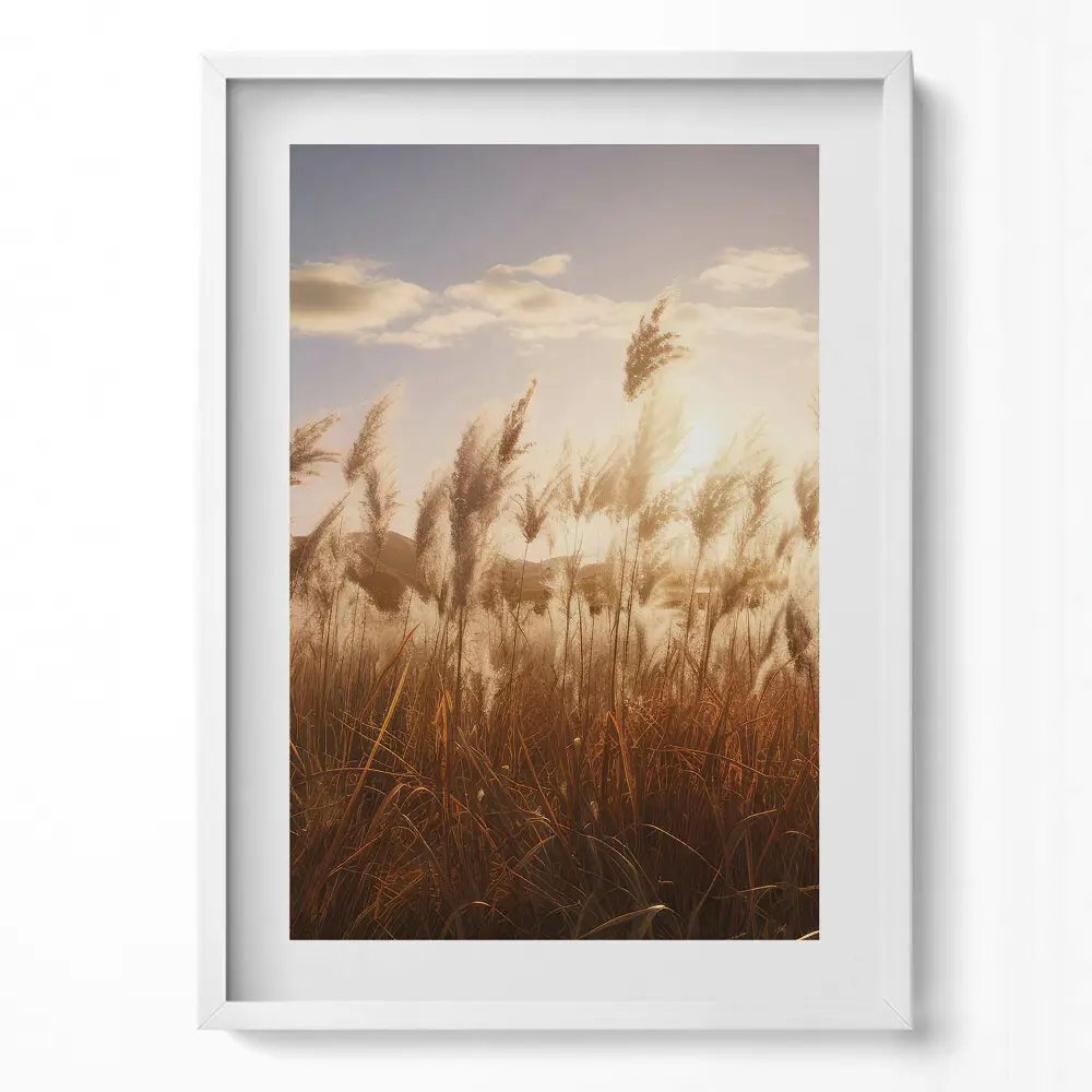 Obraz v ráme Romantický západ slnka nad trávou