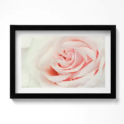 Obraz v ráme s detailným záberom na lupene ruží