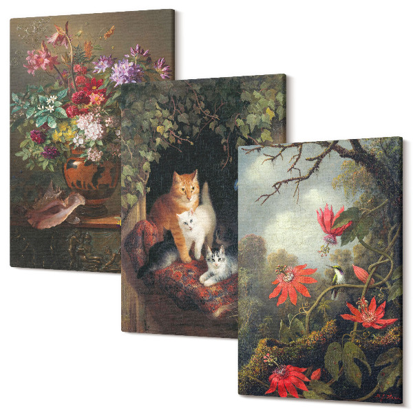 Sada obrazov triptych Vintage kvety mačky a rastliny v prírode