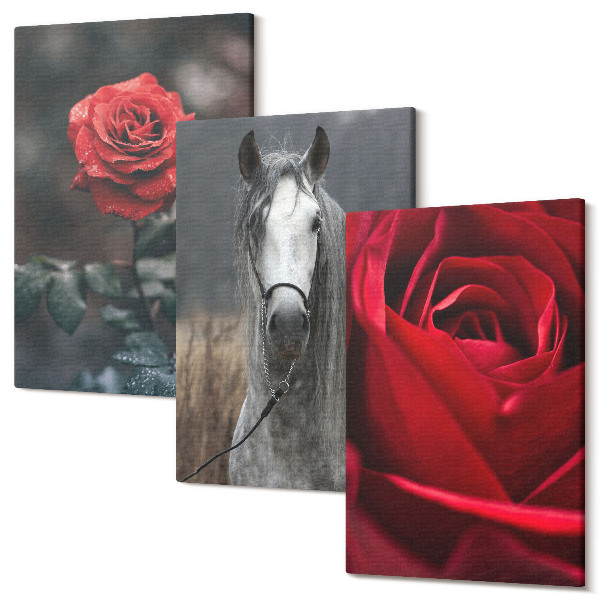 Sada obrazov triptych Červené ruže a kôň v sivom prostredí
