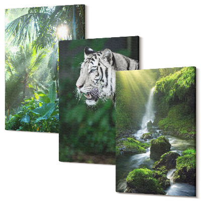 Sada obrazov triptych Džungle s bielym tigrom a divokým vodopádom