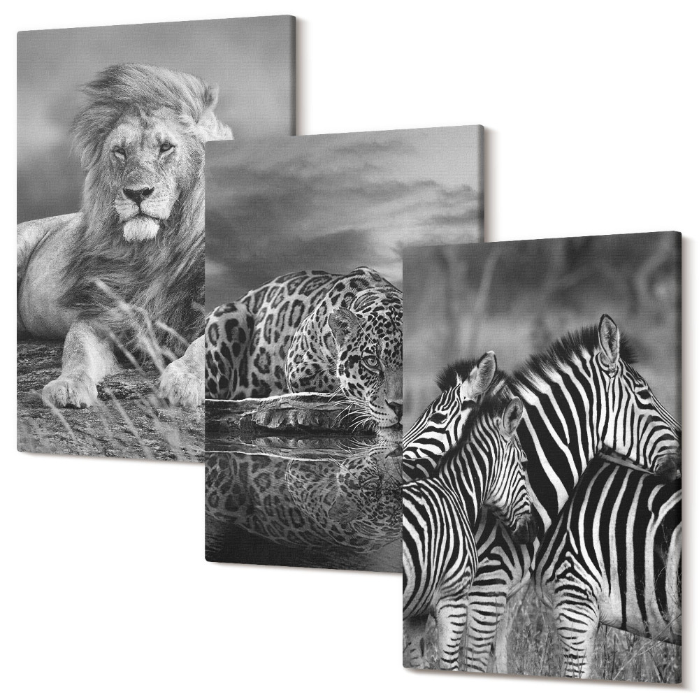 Sada obrazov triptych Divoké zvieratá savany: lev, jaguár a zebra