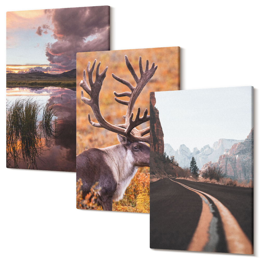 Sada obrazov triptych Horská krajina so sobmi a cestou v prírode