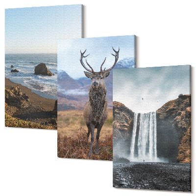 Sada 3 obrazov Horská krajina s vodopádom, jeleňom a plážou