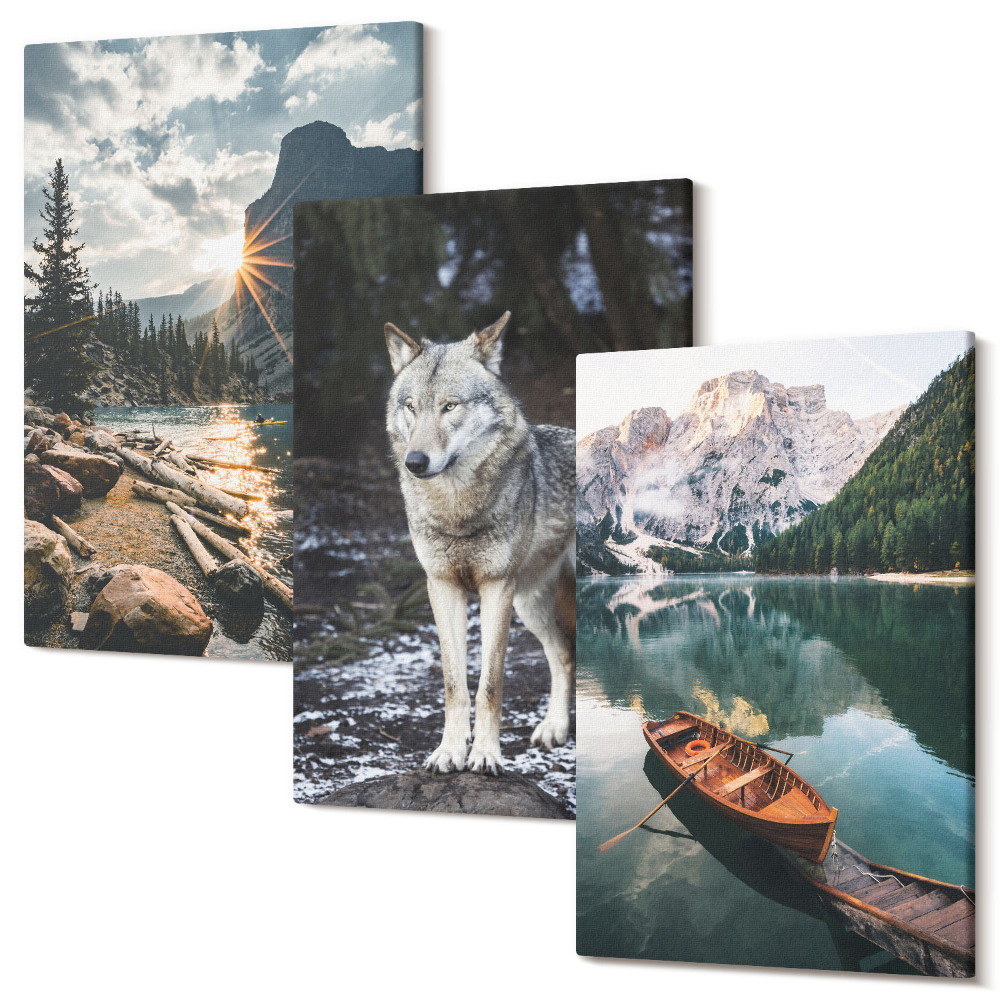 Sada obrazov triptych Hory, jazerá a vlk v prírodnom prostredí