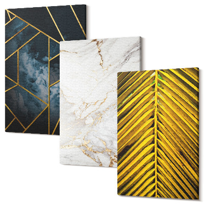Sada 3 obrazov Moderné geometrické vzory a prírodné rastlinné motívy