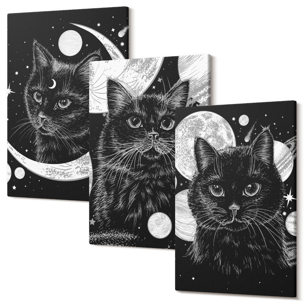 Sada 3 obrazov Čierne mačky na pozadí Mesiaca a planét vo vesmíre