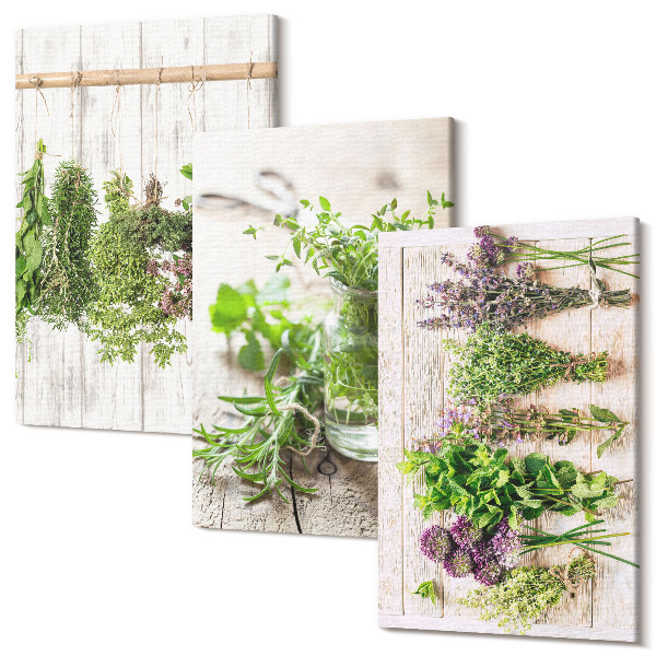 Sada obrazov na stenu triptych Sušenie byliniek a rastlín do kuchyne