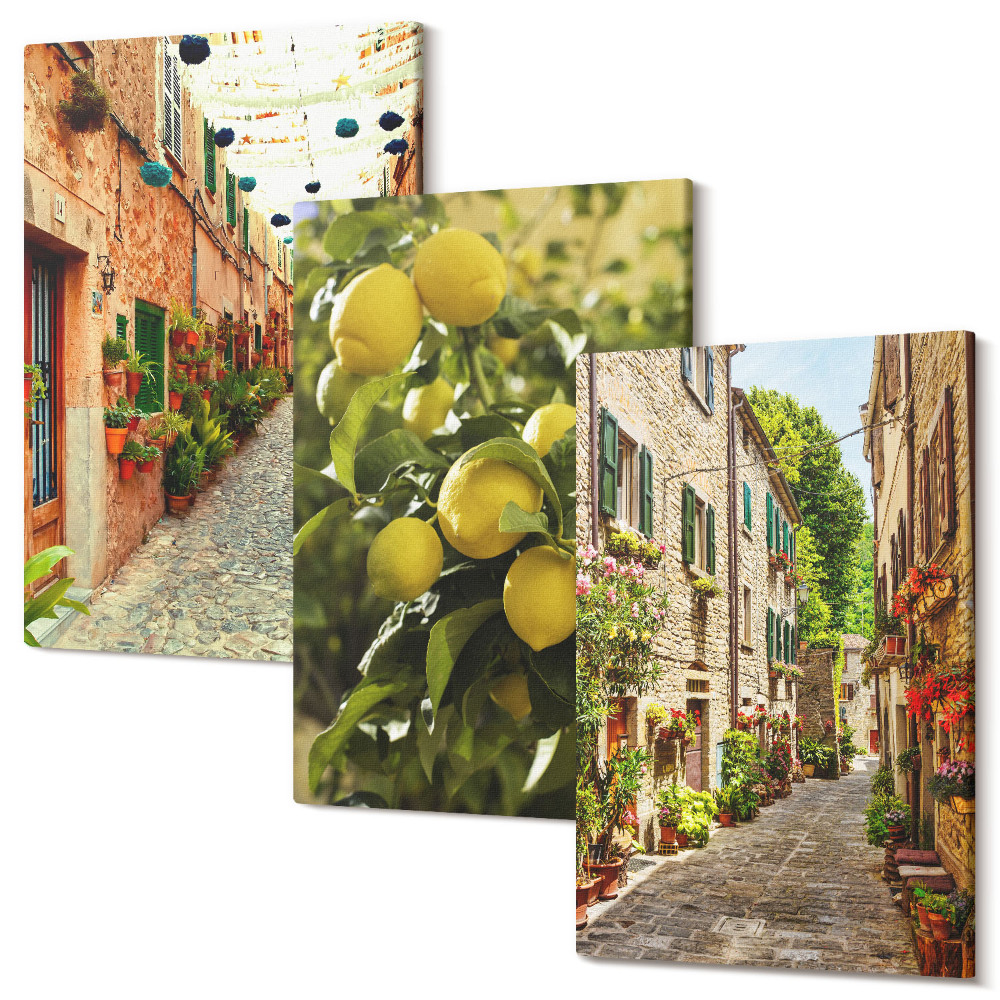 Sada obrazov triptych Očarujúce uličky s kvetmi a citrónmi v pozadí