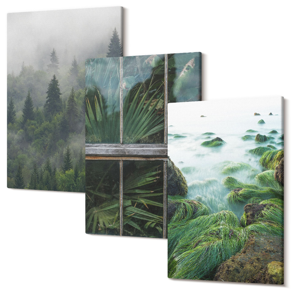 Sada 3 obrazov Les v hmle, breh rieky a skleník s rastlinami