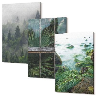 Sada 3 obrazov Les v hmle, breh rieky a skleník s rastlinami