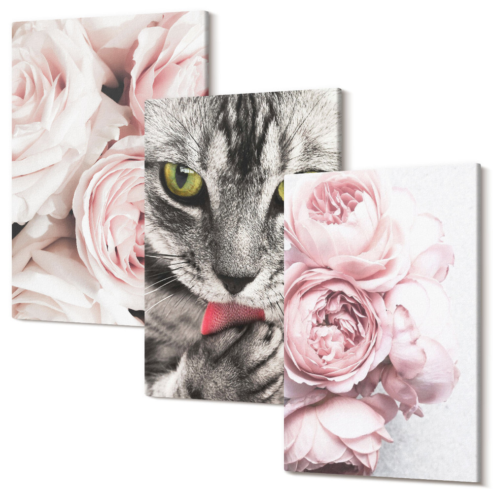 Sada obrazov triptych Mačka medzi ružovými kvetmi ruží a pivoniek