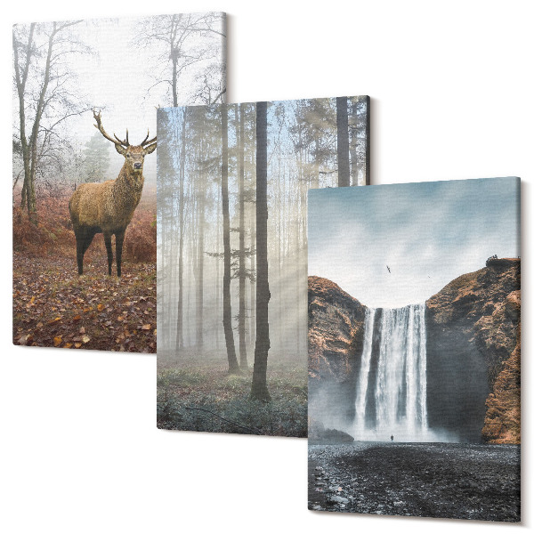 Sada obrazov na stenu triptych Lesná krajina divoká príroda jeleň